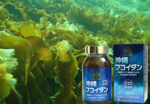 Rong biển Okinawa Mozuku