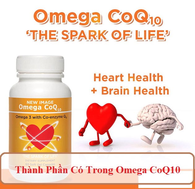 Những thành phần chính có trong Omega CoQ10