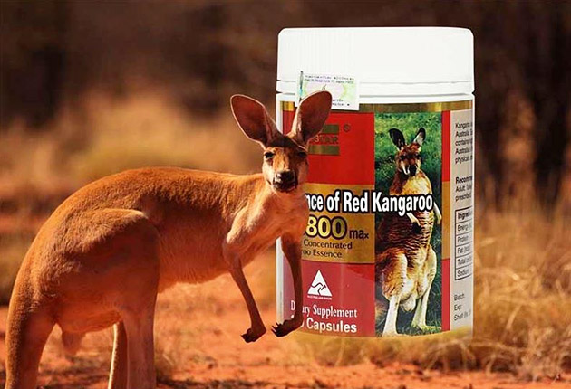 Essence Of Red Kangaroo 20800 có xuất xứ từ Úc