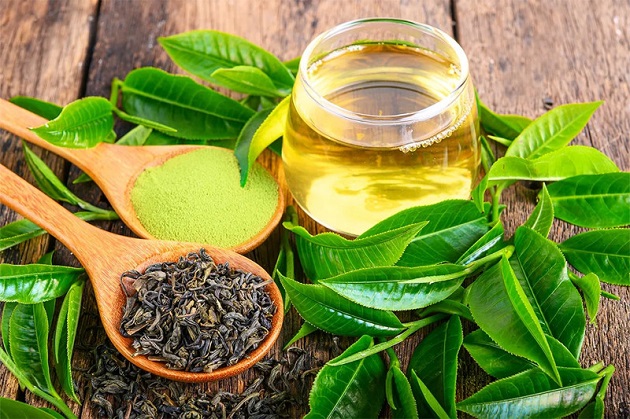 Lá trà xanh có tác dụng giải độc gan hiệu quả