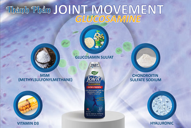 Những thành phần chính có trong Glucosamine Joint Movement